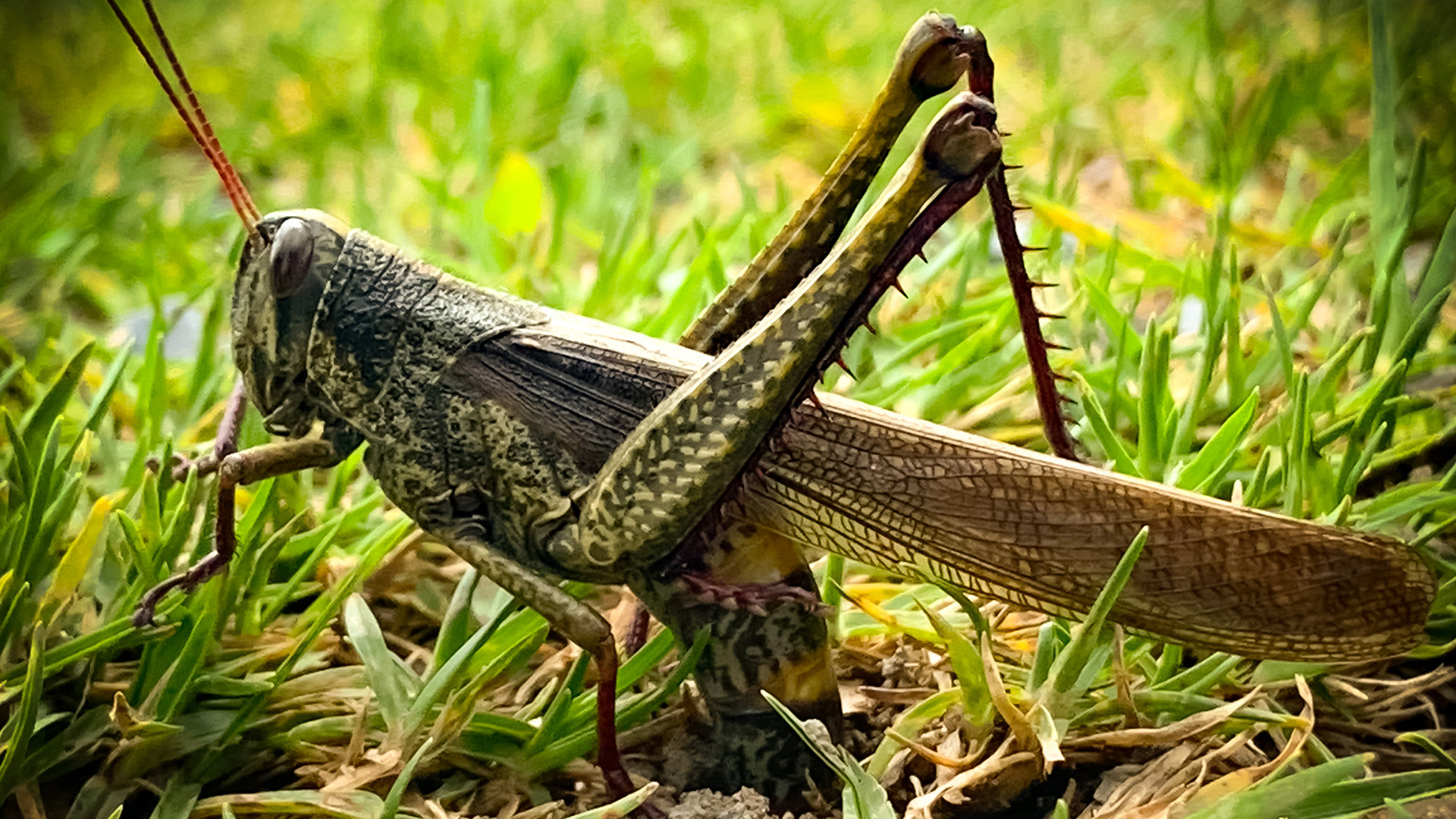 EMPRENDIMIENTOS ECOLÓGICOS