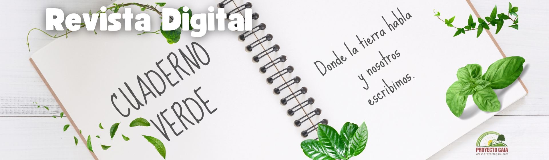 Revista cuaderno verde