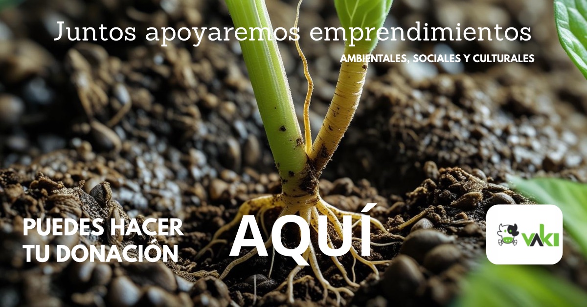 Donaciones 