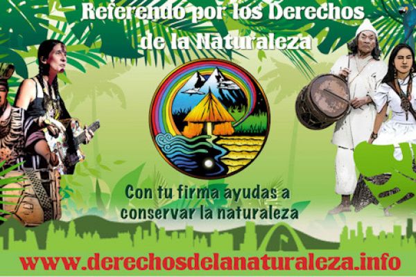 6fec95bb-1374-4582-8c00-8375d016fcf69B8FCCE7-6D98-E2DA-7E97-EC12F52A683B.jpeg